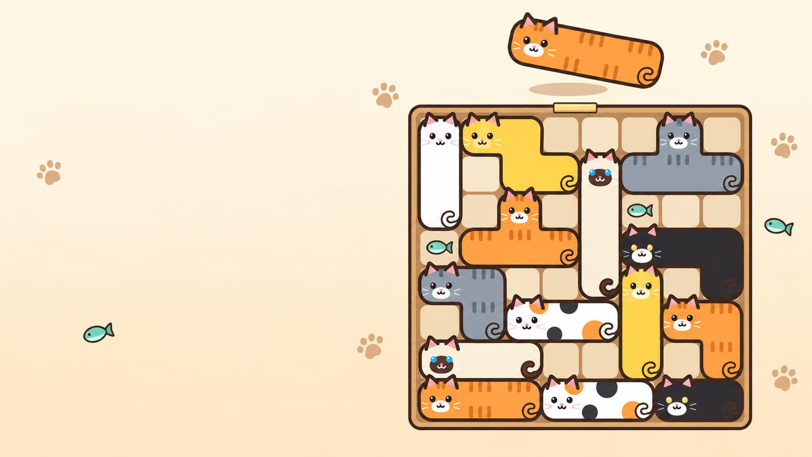 상자에 꼭 맞게 들어간 고양이들 · Cats packed snugly into a box
